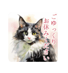 水彩猫さんのお気持ち（個別スタンプ：13）