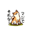 柴犬スタンプ詰め合わせ【夏】（個別スタンプ：4）