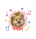 メルです╰(*´︶`*)╯（個別スタンプ：4）