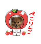 メルです╰(*´︶`*)╯（個別スタンプ：6）