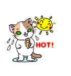 HOUSENKA CAT’S ROOM illustration no.5（個別スタンプ：6）