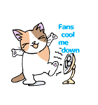 HOUSENKA CAT’S ROOM illustration no.5（個別スタンプ：18）