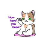 HOUSENKA CAT’S ROOM illustration no.5（個別スタンプ：26）