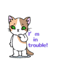 HOUSENKA CAT’S ROOM illustration no.5（個別スタンプ：30）