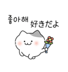 かわいい子猫,キキ (日本語/韓国語)（個別スタンプ：5）