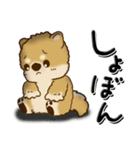 柴犬・茶色い犬『リアクション・感情』（個別スタンプ：31）