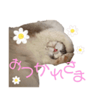 うちのトトテン（個別スタンプ：27）