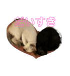 お酒とネコ好きな人 日常会話（個別スタンプ：25）