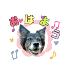チェルシー（ちぇる子）（個別スタンプ：1）