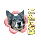 チェルシー（ちぇる子）（個別スタンプ：2）