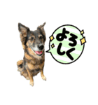 チェルシー（ちぇる子）（個別スタンプ：10）