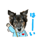 チェルシー（ちぇる子）（個別スタンプ：17）