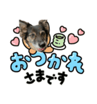 チェルシー（ちぇる子）（個別スタンプ：22）