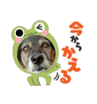チェルシー（ちぇる子）（個別スタンプ：32）