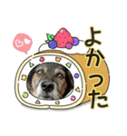 チェルシー（ちぇる子）（個別スタンプ：39）