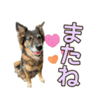 チェルシー（ちぇる子）（個別スタンプ：40）