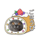 ブリティッシュショートヘアの猫スタンプ（個別スタンプ：11）