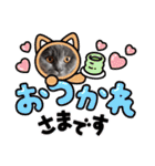 ブリティッシュショートヘアの猫スタンプ（個別スタンプ：15）