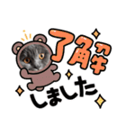 ブリティッシュショートヘアの猫スタンプ（個別スタンプ：19）