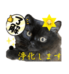 黒猫 ルナ院長154にゃんめ（個別スタンプ：2）