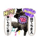 黒猫 ルナ院長154にゃんめ（個別スタンプ：7）