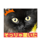 黒猫 ルナ院長154にゃんめ（個別スタンプ：8）