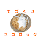 こたとらちょび(その1)（個別スタンプ：32）