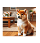 Shiba Fun（個別スタンプ：4）