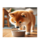 Shiba Fun（個別スタンプ：7）