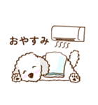 トイプードルの夏スタンプ（個別スタンプ：5）