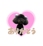 リリーといっしょ（個別スタンプ：3）