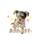 リリーといっしょ（個別スタンプ：4）