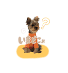 リリーといっしょ（個別スタンプ：12）