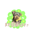 リリーといっしょ（個別スタンプ：15）
