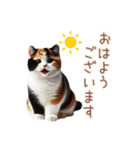 日常スタンプ 三毛猫（敬語）（個別スタンプ：1）