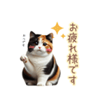 日常スタンプ 三毛猫（敬語）（個別スタンプ：5）