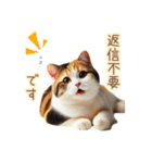 日常スタンプ 三毛猫（敬語）（個別スタンプ：13）