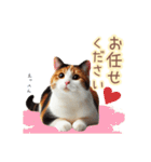 日常スタンプ 三毛猫（敬語）（個別スタンプ：14）