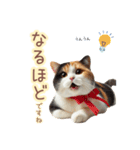 日常スタンプ 三毛猫（敬語）（個別スタンプ：21）