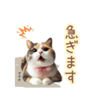 日常スタンプ 三毛猫（敬語）（個別スタンプ：31）