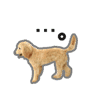 愛犬PoPoのすたんぷ（個別スタンプ：13）