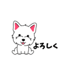 犬スタンプ #1  ウエスティ（個別スタンプ：7）