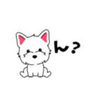 犬スタンプ #1  ウエスティ（個別スタンプ：10）