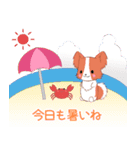 ちびパピヨン11【夏】（個別スタンプ：1）