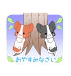 ちびパピヨン11【夏】（個別スタンプ：15）