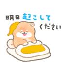 柴犬さんの家族連絡スタンプ（個別スタンプ：1）