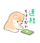 柴犬さんの家族連絡スタンプ（個別スタンプ：23）