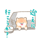 柴犬さんの家族連絡スタンプ（個別スタンプ：31）