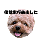 ちゃぼまる2（個別スタンプ：9）