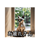 折り紙猫の関西弁スタンプ（個別スタンプ：11）